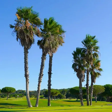 Au Bord De L'eau - Cosy Au Cap D'agde Apartament Agde