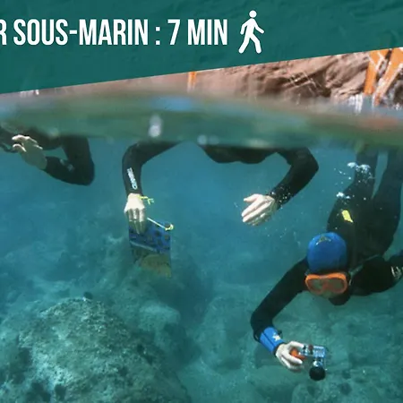 Au Bord De L'eau - Cosy Au Cap D'agde Apartament