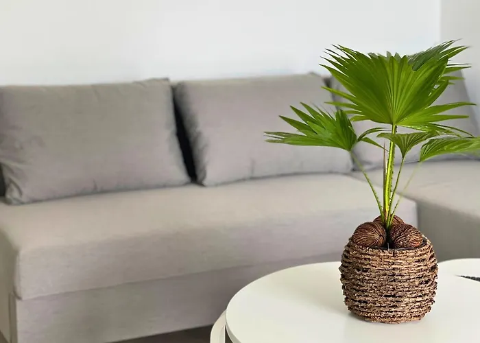 Au Bord De L'eau - Cosy Au Cap D'agde アパート アグド